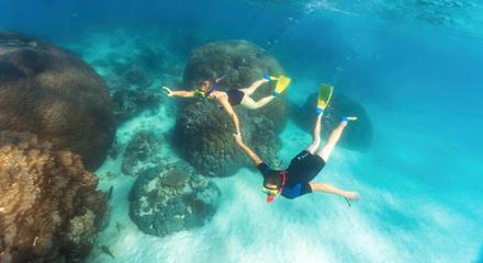 Exmouth: Full-Day Ningaloo Reef Snorkel Adventure with Morning Tea, Picnic Lunch & Snorkelling Gear