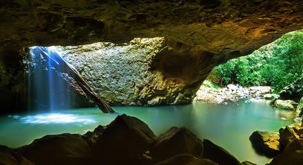 Springbrook & Tamborine Rainforest Tour