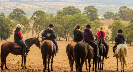 1.5hr Banquet Ride-Out + Grazing Board + Gls Wine