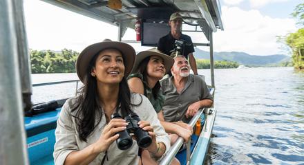 Daintree Afternoon and Nocturnal Tour