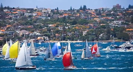 Sydney: Three-Hour Boxing Day Harbour Cruise with Canapes, Premium Drinks Package & Live Entertainment