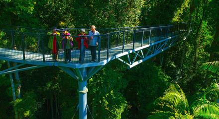 Explore Mt Tamborine - Gold Coast Departure