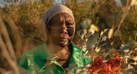 Bungles Day Trek (4WD/Trek) Extended - Cathedral and Echidna