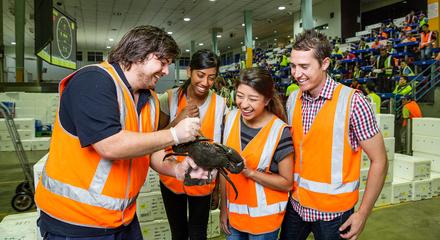 Sydney: Two-Hour Behind the Scenes Tour of Sydney Fish Market