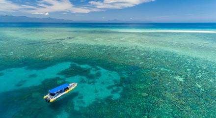MORNING Ocean Safari Great Barrier Reef Adventure