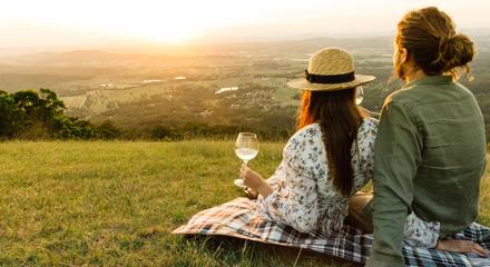 Hop on Hop Off Bus - Tamborine Mountain - from Gold Coast