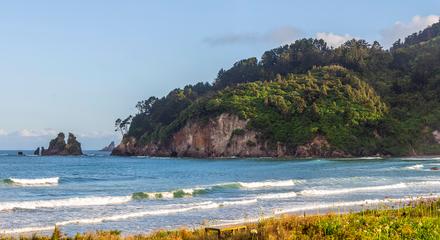 New Zealand: 90-Minute Small-Group Whangamata Discovery Boat Tour 