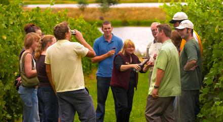 Yarra Valley Wine Experience