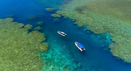 Daydream Island Southern Lights tour