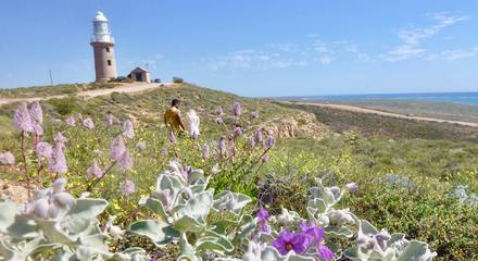 Exmouth Modern History & Heritage Half Day Tour 
