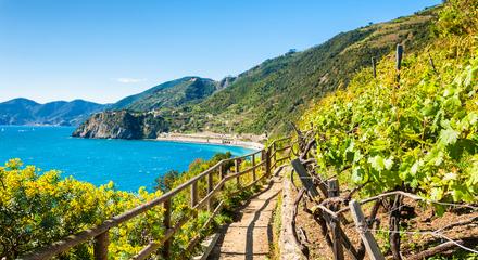 Cinque Terre Private Hiking & Wine Tour