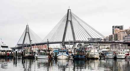 Morning Walking Tour