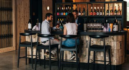 Premium Wine Experience