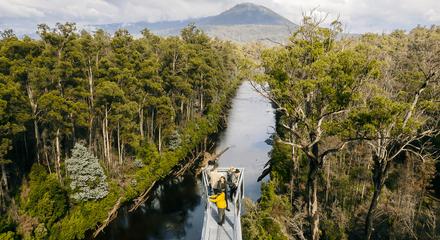 Tahune Airwalk Site Entry