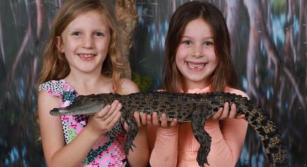 Darwin: Full-Day Entry to Crocosaurus Cove & 24-Hour Hop-On Hop-Off Darwin Big Bus Day Pass Package