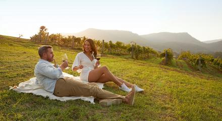 Autopia Tours: Hunter Valley Scenic Wine & Dine Day Tour