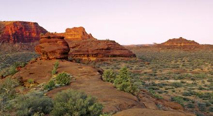 AAT Kings Palm Valley Outback Safari by 4WD (A5)