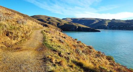 Godley Head Guided Day Tour- from Christchurch