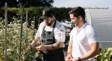 Milawa: Immerse Yourself in Brown Brothers' History on a Wine & Food Adventure with Wine Tasting, Tour & Lunch