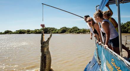 Autopia Tours: Jumping Crocodile Tour from Darwin