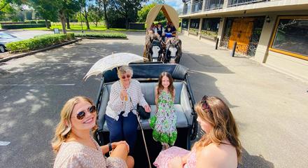 Chocolate Tasting Horse and Carriage Tour