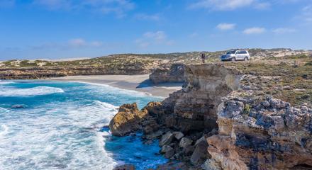 Exceptional Port Lincoln, Seafood and Wildlife Tour - Full Day