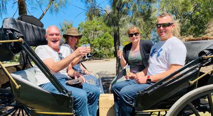 Exclusive Mini - 1 Hour Carriage Wine Tour