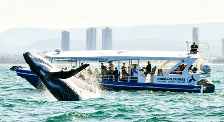 2.5hr Whale Watching Cruise