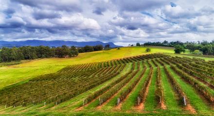 Half Day Couples Private 4 X 4 Tour