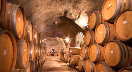 Barrels of wine in a cellar