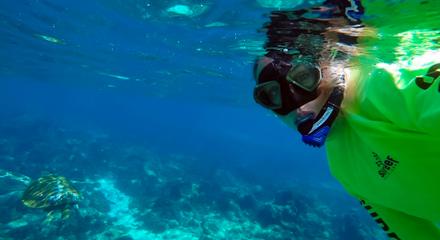Snorkel with Turtles at Mudjimba Island