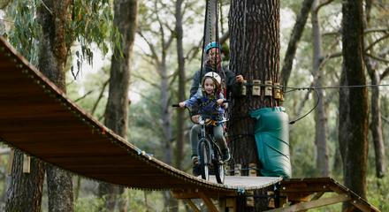 Forest Adventures Park Entry - 2.5 Hours