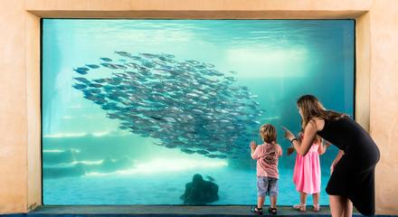 AQWA General Admission Entry Tickets