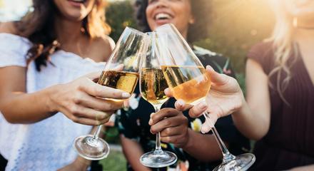 Champagne Region Small Group Tour, from Paris, with Moet et Chandon, Hautvillers and a Family Winery