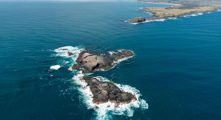 Scenic Flight 3 - Seal Rocks, Penguins & The GP Circuit