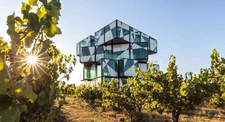 McLaren Vale: Full-Day Tour & The Cube Experience with Adelaide CBD Transfers, Lunch & Tastings