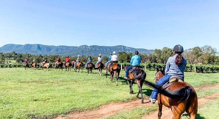Hunter Valley: Scenic 90-Minute Guided Horseback Vineyard & Bush Trail Ride