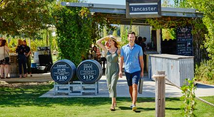 Afternoon Delights Cruise Tour