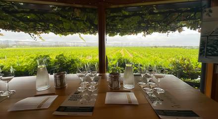 Barossa Valley - All Inclusive private luxury wine tour + choose your own experience