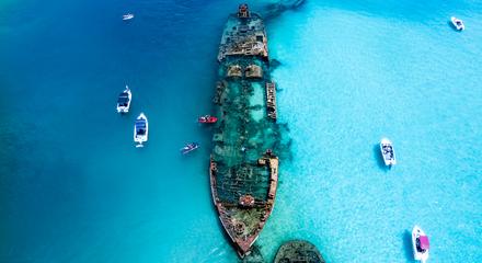 Moreton Island Eco Marine Safari Cruise and Snorkel