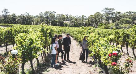 Estate Tour & Cheese Board