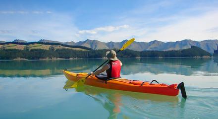 Sea Kayaking, Lyttelton Harbour & Quail Island- from Christchurch