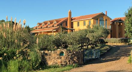 Waiheke Island Art Walk