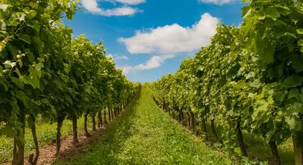 Macedon Ranges Private Wine Tour
