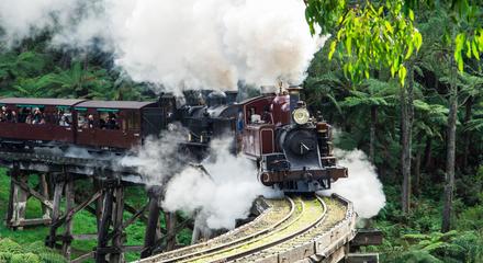 Healesville Sanctuary and Puffing Billy Scenic Bus Tour