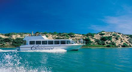 Half-Day Coorong Experience