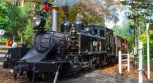 Puffing Billy And Phillip Island Wildlife Bus Tour