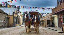 Sovereign Hill, Eureka Centre & Melbourne Skydeck Bus Tour  
