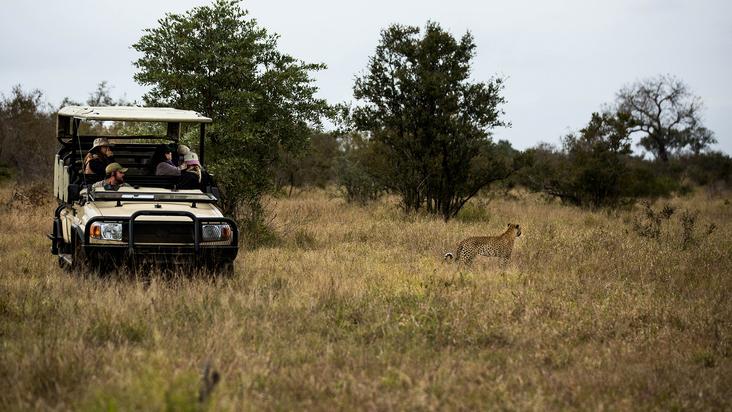 Barry Du Bois Scenic South African Safari