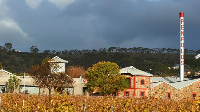 Adelaide One Hour Penfolds Magill Estate Heritage Tour Wine